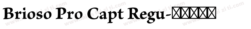Brioso Pro Capt Regu字体转换